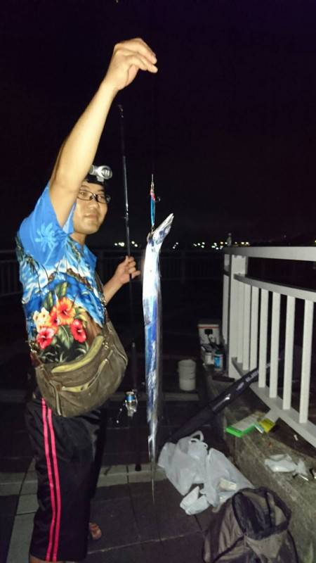 またまた太刀魚