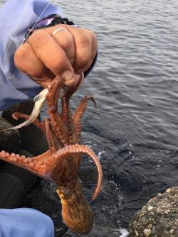 久し振りの釣行