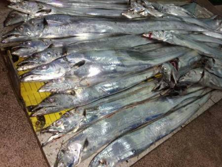 ３年ぶりの淡路島