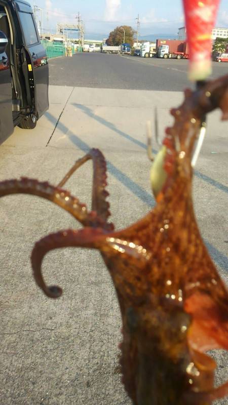 いつものポイント