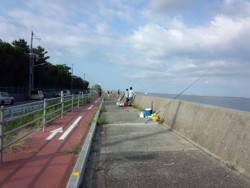 武庫川尻　今年も来たぜジャンボサヨリ！