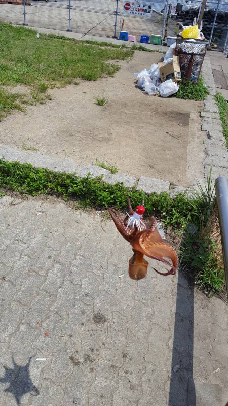 初のオクトパッシング