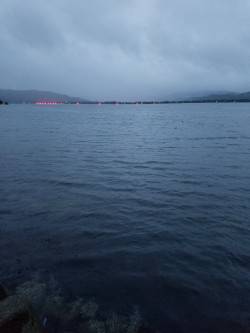 雨の中粘って釣った一匹