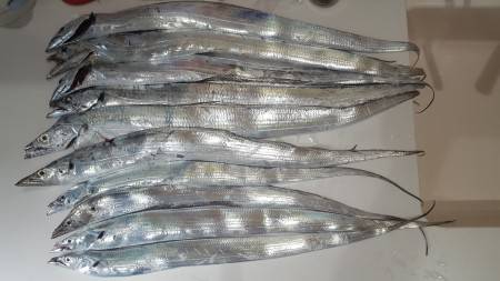 2、3匹の予定が…