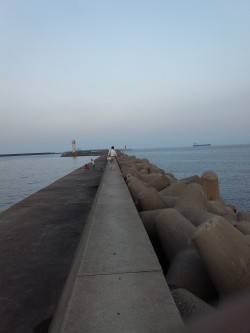 今日は、ワインド!