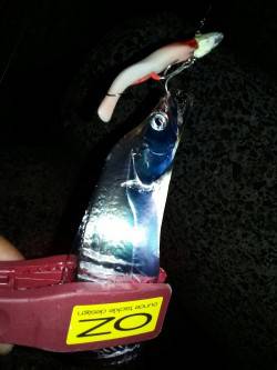 夏タチばっかし！