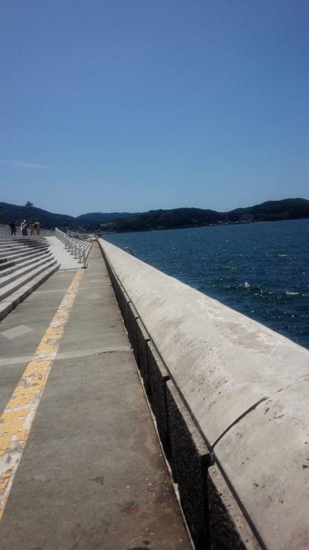 ソウダガツオ＆大アジ来てますよー！