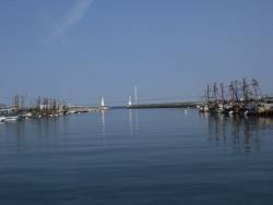 湾内遠投で、タコ釣れる