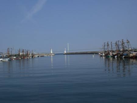 湾内遠投で、タコ釣れる