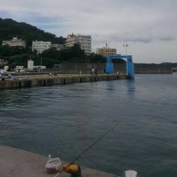 サバじゃなくてイワシが良かったな~