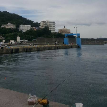 サバじゃなくてイワシが良かったな~