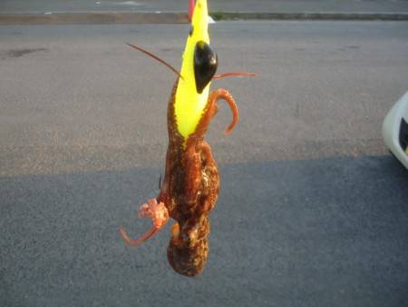 ３０分１本勝負