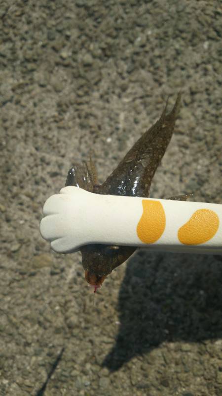 ちょこっとだけライトゲーム