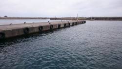 はじめての釣り