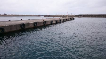 はじめての釣り