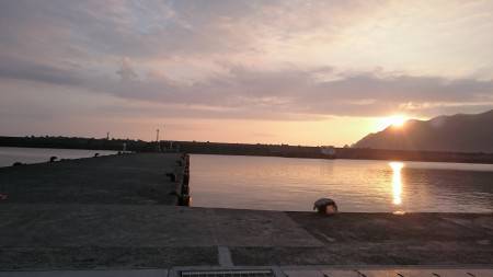 ナイスなカマス