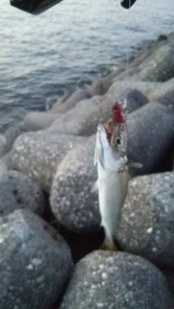 久しぶりの夕マズメ。