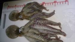 夕方から夜少し