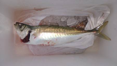 ローテーション②