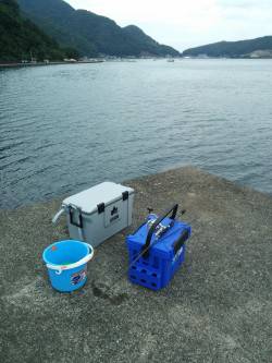 豆アジいっぱい