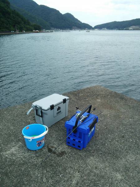 豆アジいっぱい