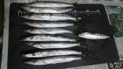 短時間ラッシュ