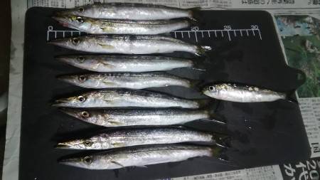 短時間ラッシュ