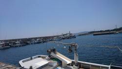 塩屋漁港でサビキ釣り