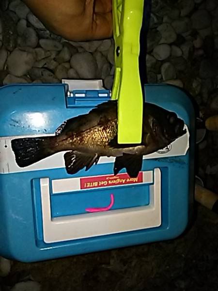 色々ライトゲーム