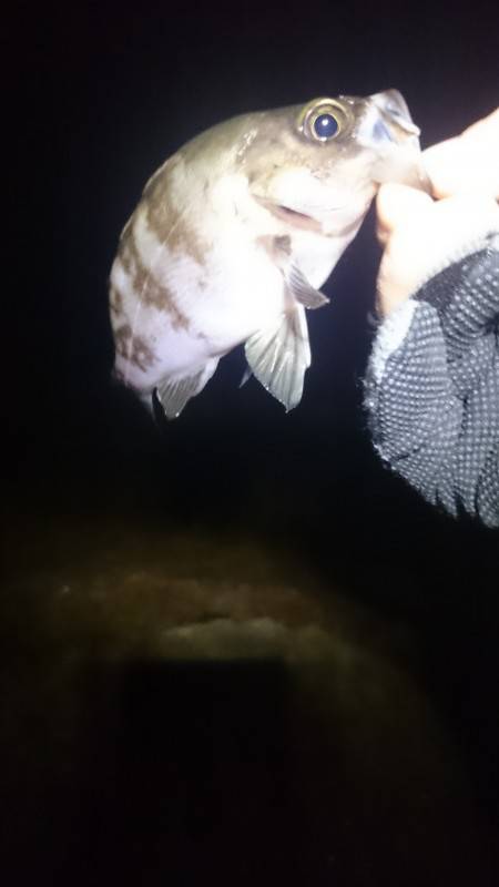 賑わってます。