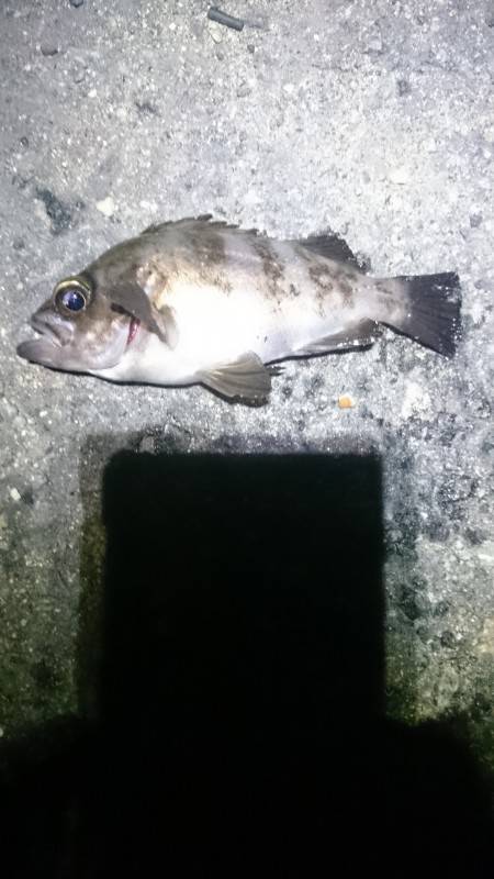 カラーチェンジ！