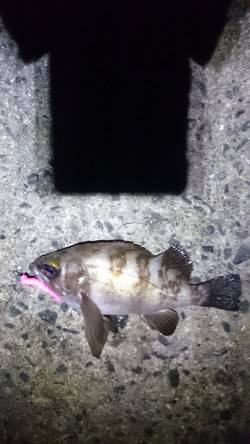 カットしました。