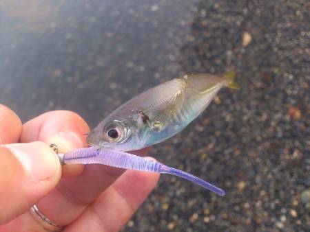 サーフライトゲーム