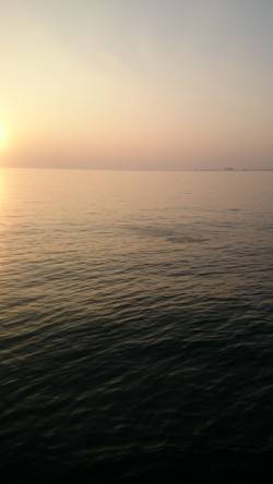 アジング釣行記