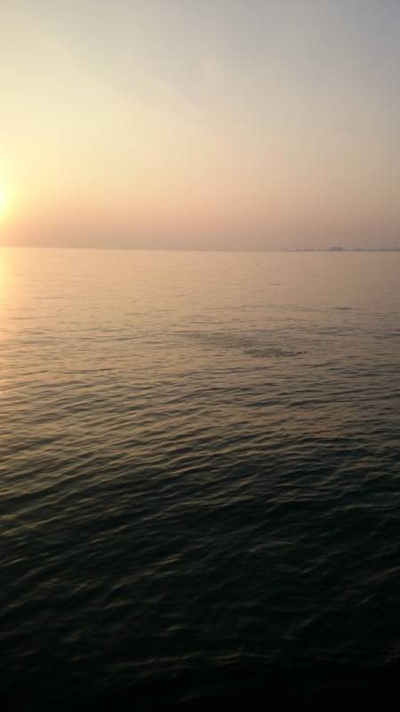 アジング釣行記