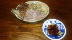 アジング釣行記