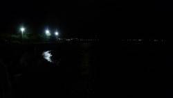 アジングでしたがダメでしたが。。貴重な1匹をゲット