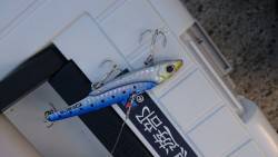 サーべリング調査