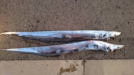 やっとのタッチョ