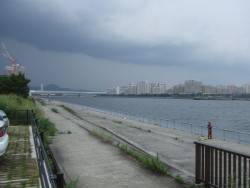 初サヨリも雷には勝てない