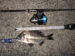 メタルバイブで♪