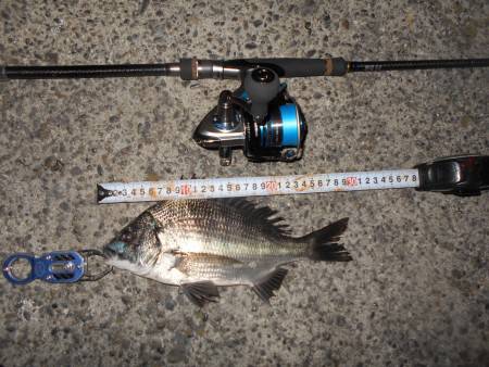 メタルバイブで♪