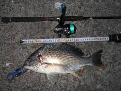 メタルバイブのフルキャストで♪