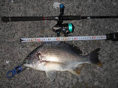 メタルバイブのフルキャストで♪