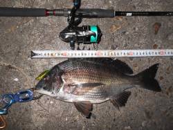 バイブ攻めで♪