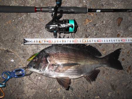 バイブ攻めで♪