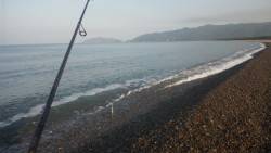 ショアジギング釣行