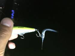 豪雨の前に釣りへ