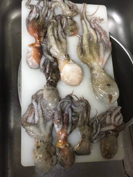 ナイトおくとパッシング