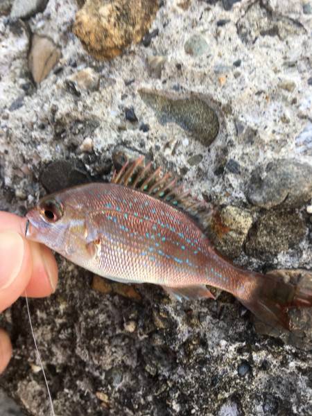 梅雨が休んでる間に